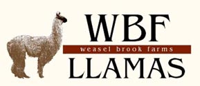 WBF Llamas Logo